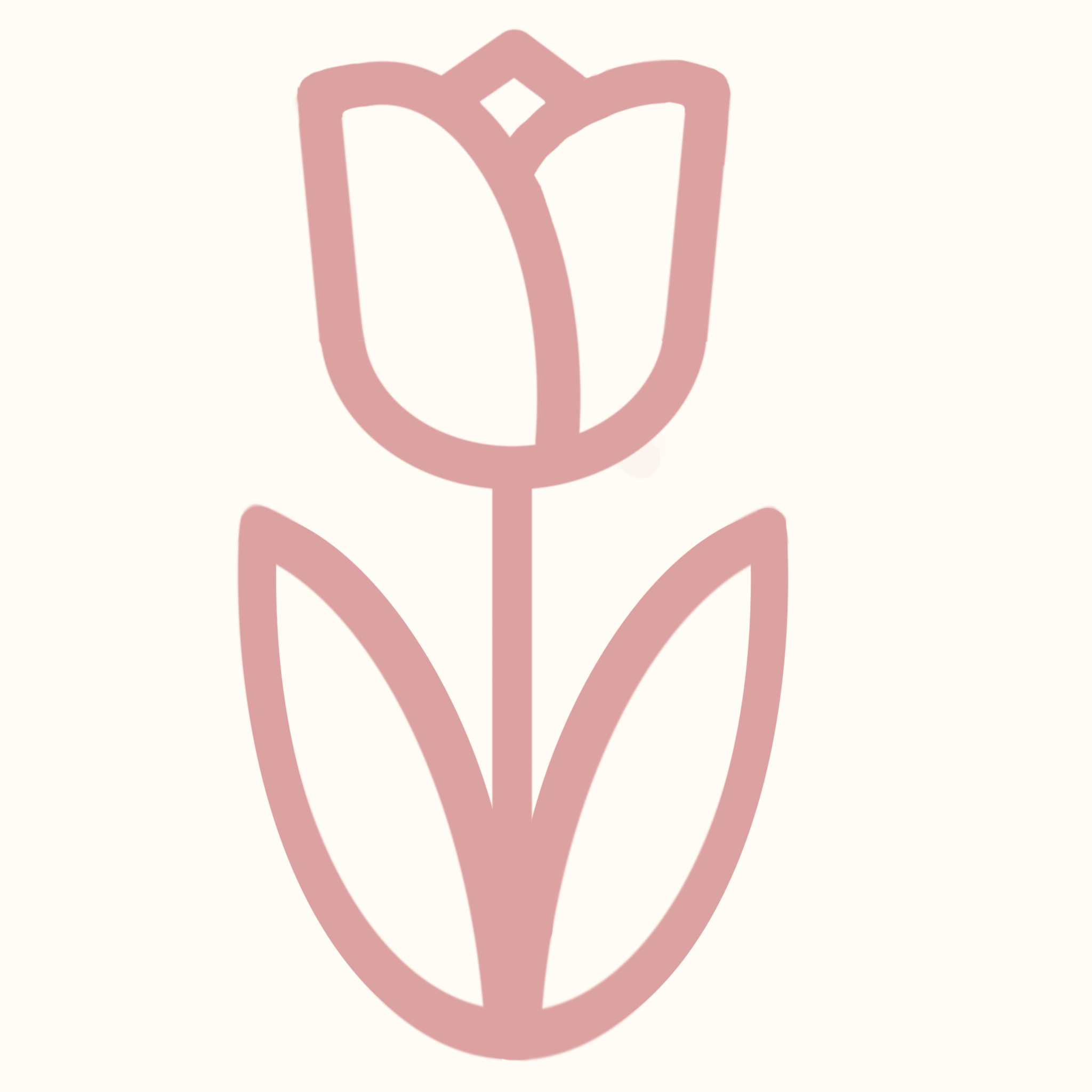my-logo